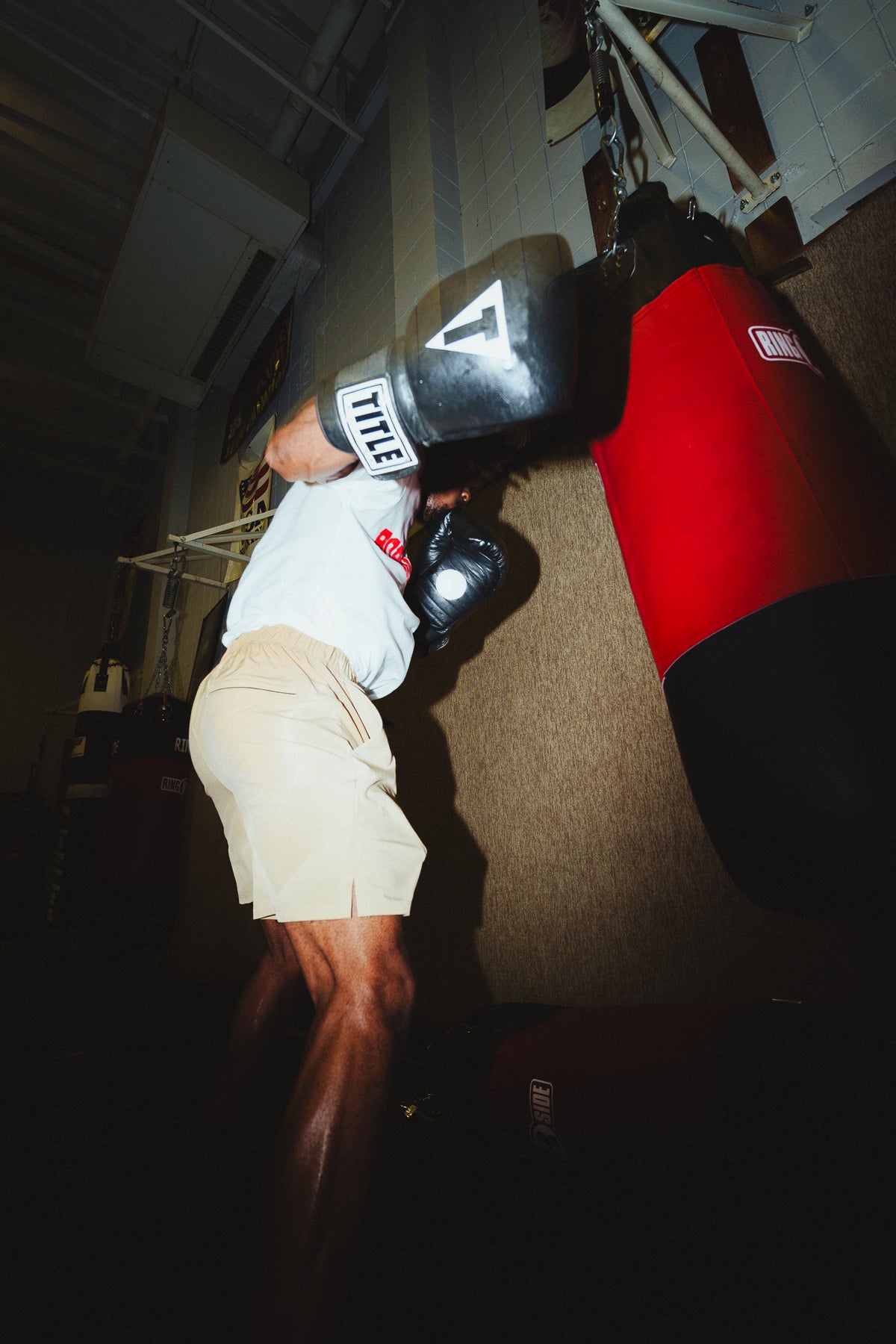 Born To Win Shorts