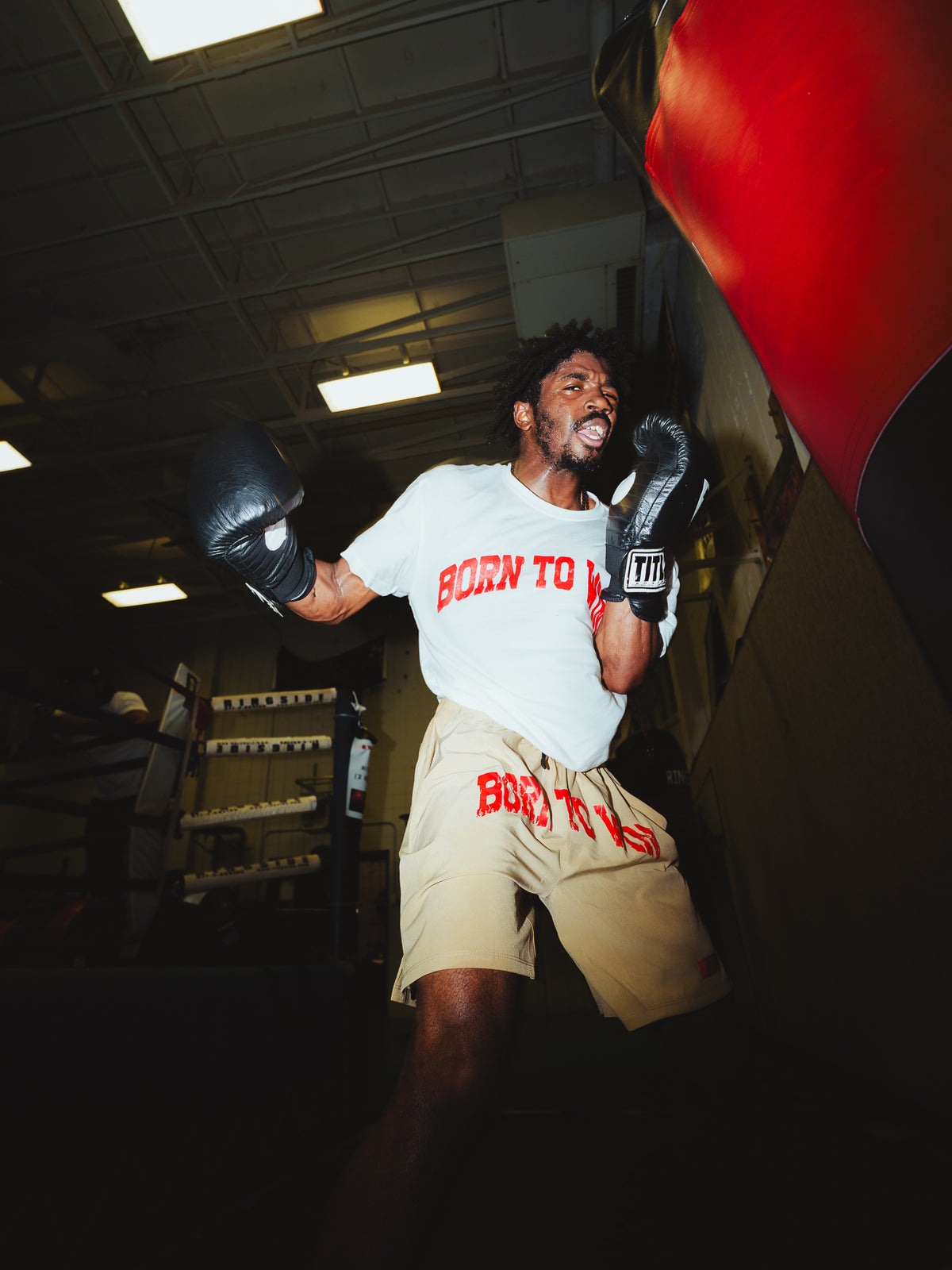 Born To Win Shorts