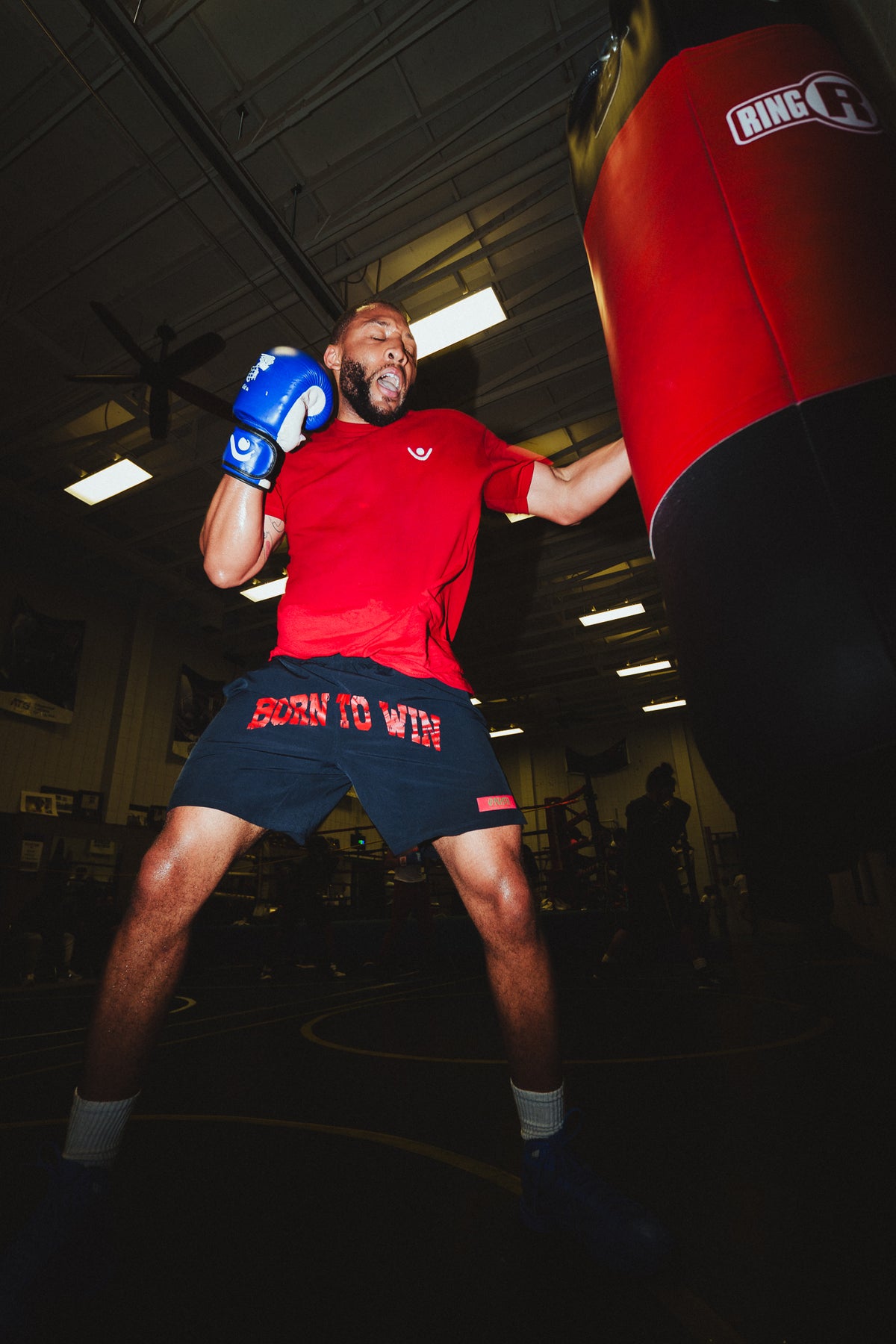 Born To Win Shorts