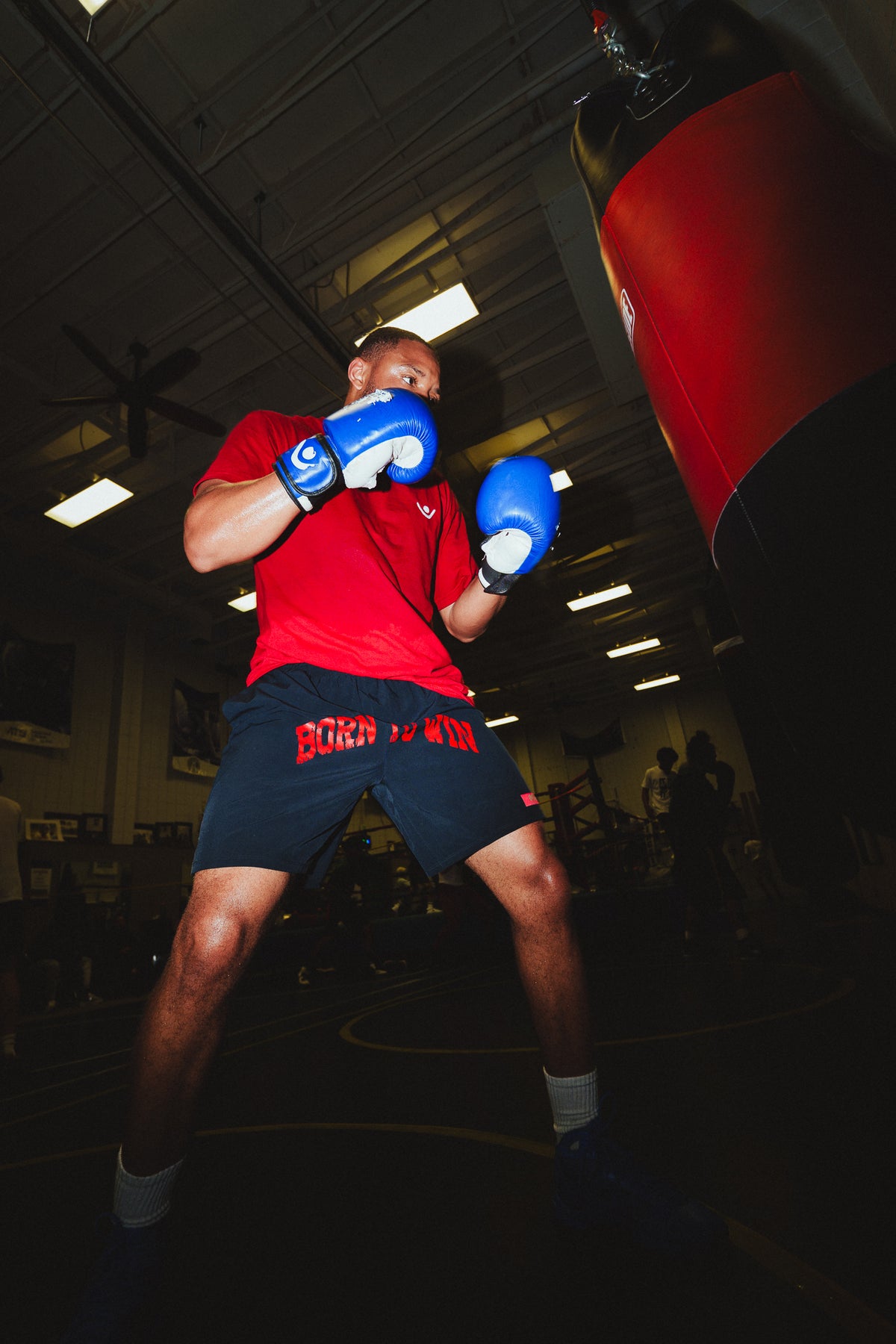 Born To Win Shorts