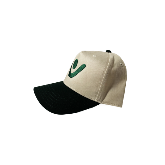 VCTRY Logo 5 Panel hat - Green & Green